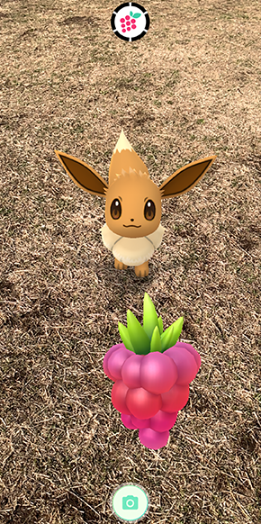 相棒ポケモン ポケモン Go 公式サイト